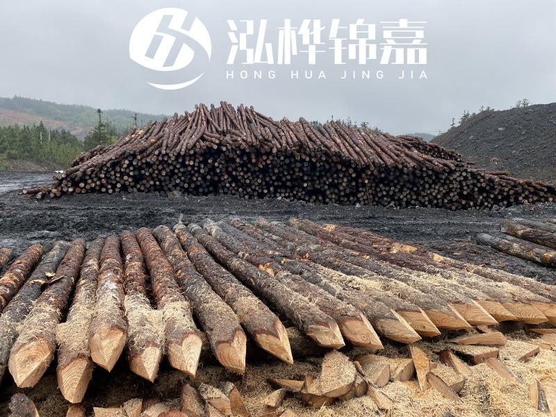 6米長松木樁有哪些作用，多少錢一根？