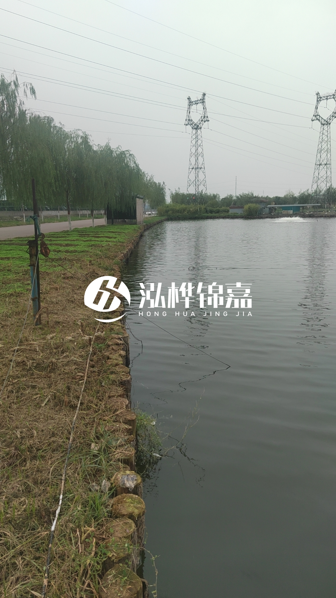 臺(tái)州挖機(jī)打木樁專業(yè)施工-松木樁打樁木的密度對(duì)打樁效果有影響嗎？