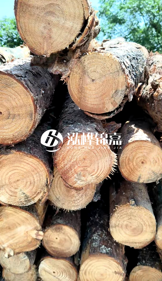 周口挖機(jī)打木樁專業(yè)施工-杉木樁施工打樁怎么打？