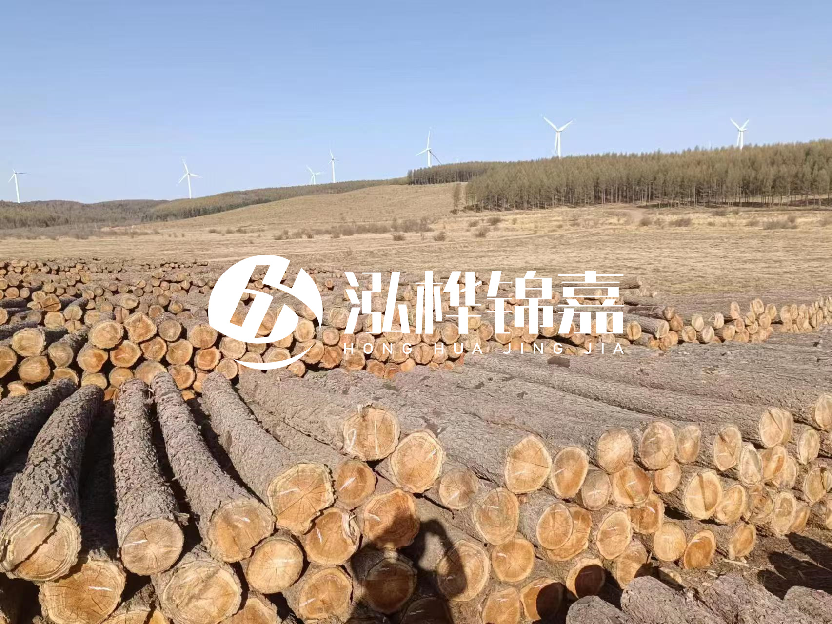 咸寧松木樁源頭廠家-哪里能買(mǎi)到質(zhì)量好的松木樁打樁木？
