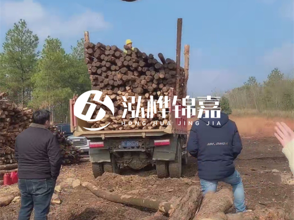 松木樁價(jià)格是按米算還是按根算？6米松木樁批發(fā)價(jià)每根多少錢？