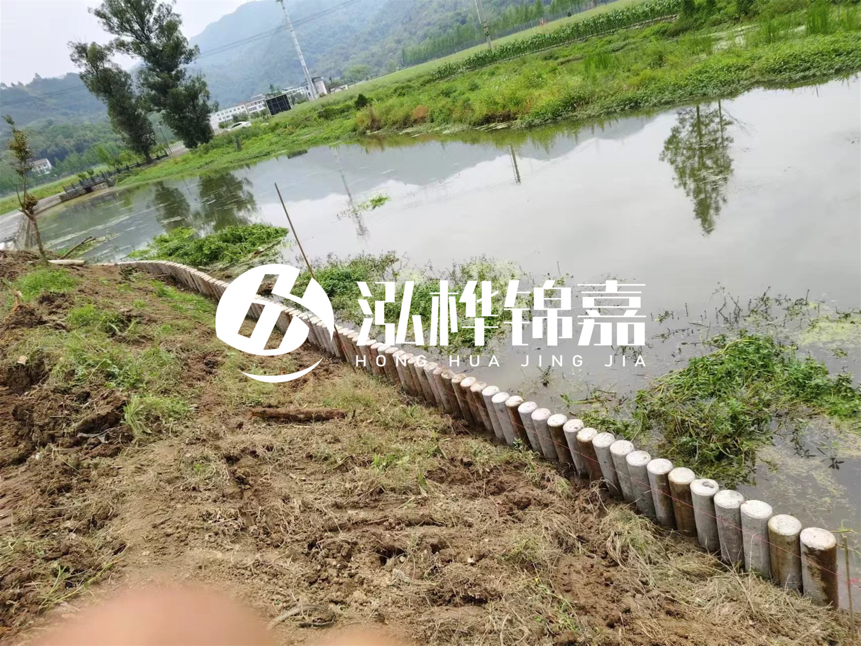松木樁加固河道與水泥樁對(duì)比如何？哪一種更加適合您？