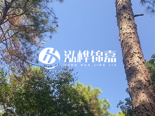 松木樁廠家的供貨能力強不強-怎么才能聯(lián)系到松木樁廠家？