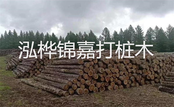 選擇紅磚護(hù)坡，打造獨(dú)特的美麗景觀