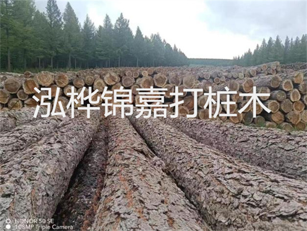 高效施工，圓松木樁助力建筑工程進(jìn)展順利