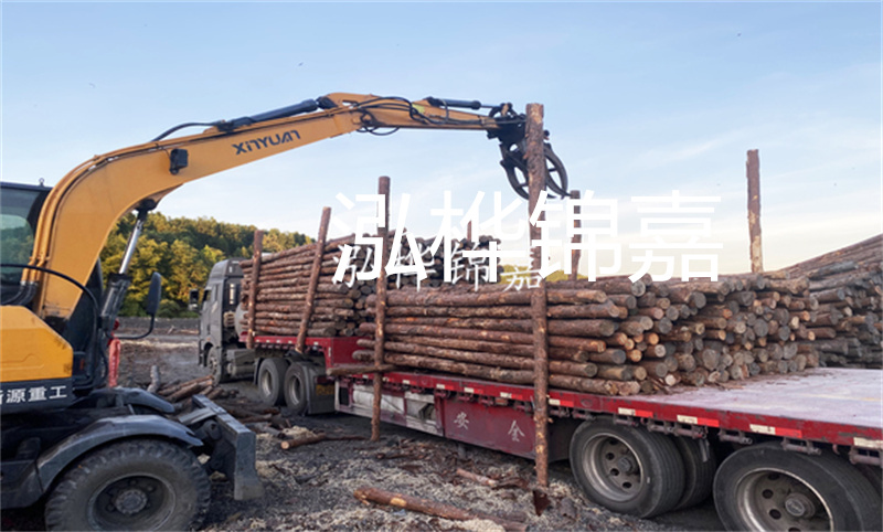 打造自然與人工相結(jié)合的仿木樁護(hù)岸，保護(hù)岸邊生態(tài)多樣性