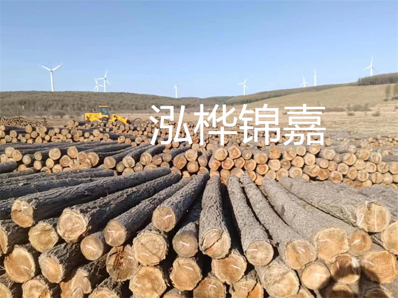 溫州松木樁施工廠家——為您打造堅(jiān)固穩(wěn)定的建筑基礎(chǔ)！