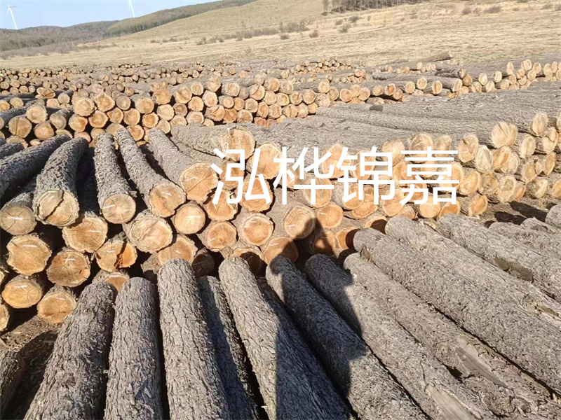 鹽城松木樁河道圍堰施工，保護(hù)生態(tài)環(huán)境，打造美麗城市