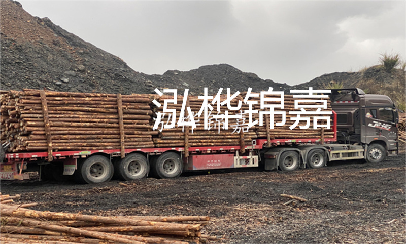 大理松木樁哪里賣？選擇合適的松木樁來保護(hù)你的建筑